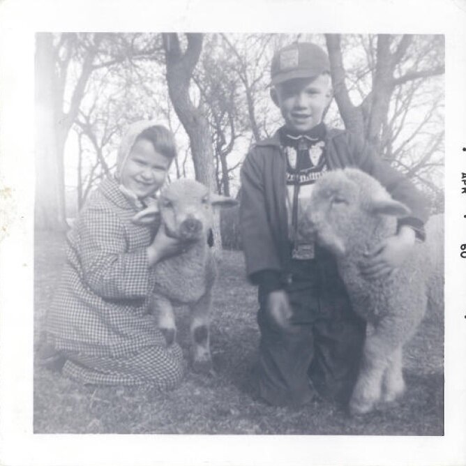 Janet+and+Dad+with+sheep